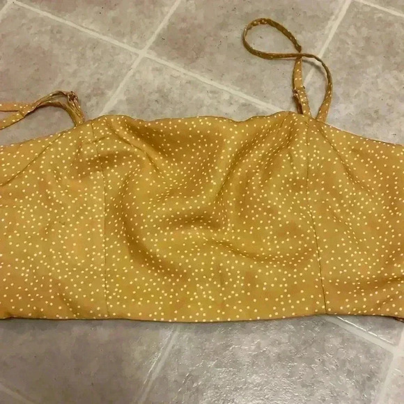 Polly - Picture 2 of 4